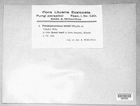 Image Associated With the Occurrence